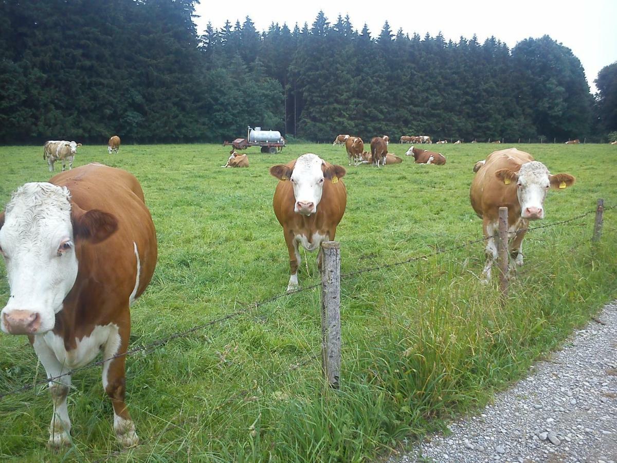 Ferienwohnung Auf Dem Lechsberg Fuchstal Екстериор снимка
